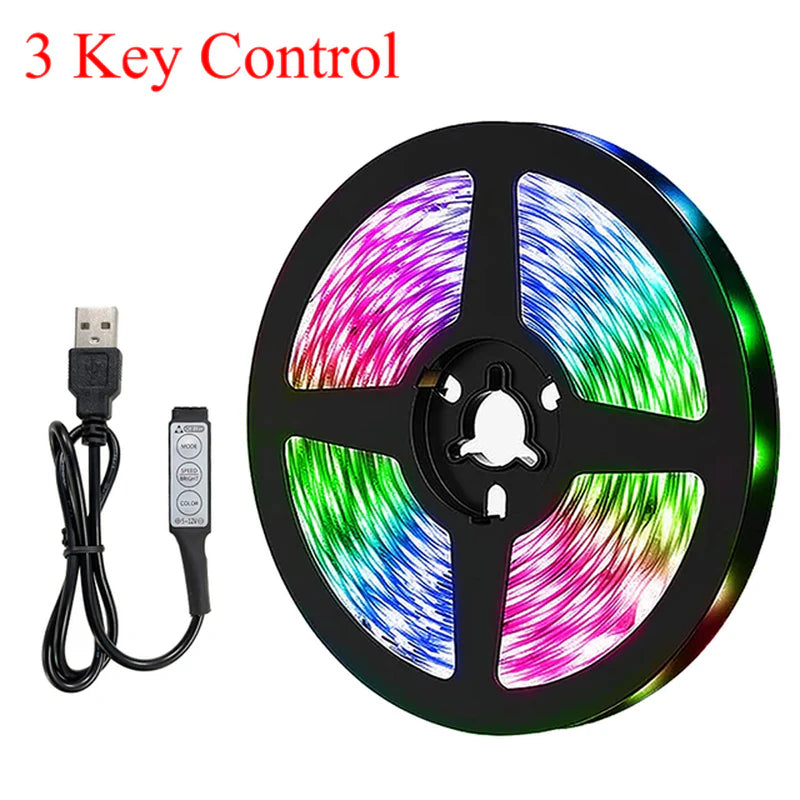 10M 20M LED Strip Lights RGB 5050/RGBIC WS2812B Infrared Bluetooth Ontroller TV Backlight Room Luces Luminous Decorate Fita Lamp
